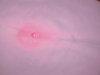 P5090098_medium