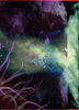 Underwater_copy_medium