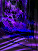 Renate3_medium