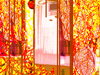 Puertolas-stoll-corey-stoll-b2_medium