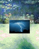 Monet_becomes_electric_medium