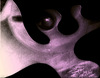 Ecp_11-3_medium