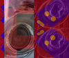 Archetypes_large_medium